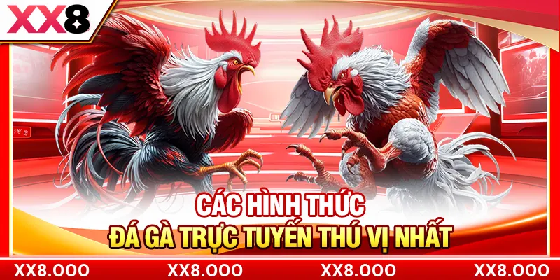 Các hình thức đá gà trực tuyến thú vị nhất