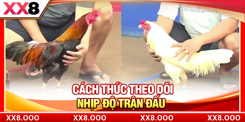 Cách thức theo dõi nhịp độ trận đấu